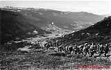 Filename=HE130610-213.jpg
Filesize=136KiB
Dimensions=1401x900
Date added=Nov 18, 2011 HE130610-213.jpg