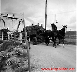 Filename=HE130610-366.jpg
Filesize=67KiB
Dimensions=956x900
Date added=Nov 19, 2011 HE130610-366.jpg