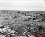 Filename=HE130610-536.jpg
Filesize=80KiB
Dimensions=1115x900
Date added=Nov 20, 2011 HE130610-536.jpg
