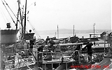 Filename=359III-126.jpg
Filesize=84KiB
Dimensions=1200x750
Date added=Sep 06, 2009 359III-126.jpg