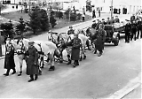 Filename=9_Mfl-Kmitromso-012.jpg
Filesize=391KiB
Dimensions=1200x842
Date added=Nov 23, 2020 9_Mfl-Kmitromso-012.jpg
