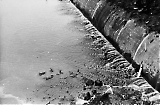 D04_21.jpg