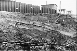 D12_15.jpg