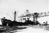 D15_19.jpg