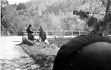 Filename=Voss111.jpg
Filesize=154KiB
Dimensions=1000x640
Date added=Jun 18, 2009 Voss111.jpg