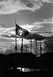 Filename=LW-pilot004.jpg
Filesize=118KiB
Dimensions=618x900
Date added=Jul 03, 2009 LW-pilot004.jpg