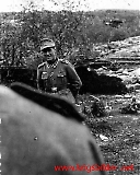 LWskogfoss084.jpg
