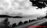 Filename=lwnach260311-0038.jpg
Filesize=134KiB
Dimensions=1100x675
Date added=Mar 27, 2011 lwnach260311-0038.jpg