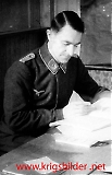 lnrgt50-140.jpg