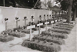 TGE19122019-179.jpg