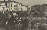 TGE19122019-190.jpg