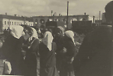 TGE19122019-191.jpg