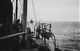 TGE10052020-175.jpg