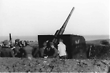 TGE01012025-037.jpg