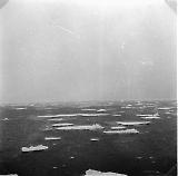 TGE01062026-049.jpg