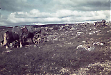 THGE06102026-018.jpg