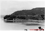 Filename=LW-M100.jpg
Filesize=244KiB
Dimensions=1200x835
Date added=Jun 19, 2009 LW-M100.jpg