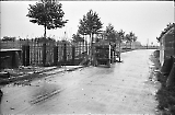 neg-1052.jpg