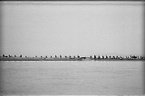 neg-1060.jpg