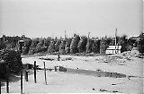 neg-1063.jpg