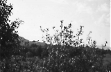 Filename=sspol-gr-066.jpg
Filesize=78KiB
Dimensions=1000x656
Date added=Nov 03, 2009 sspol-gr-066.jpg