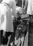 TGE23112025-015.jpg