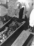 TGE23112025-019.jpg