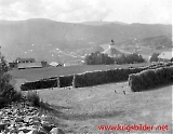 Tolga