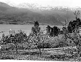 Filename=Voss096.jpg
Filesize=216KiB
Dimensions=1000x771
Date added=Jun 18, 2009 Voss096.jpg