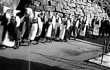 Filename=Voss098.jpg
Filesize=138KiB
Dimensions=1000x640
Date added=Jun 18, 2009 Voss098.jpg
