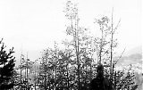 Filename=Voss112.jpg
Filesize=130KiB
Dimensions=1000x635
Date added=Jun 18, 2009 Voss112.jpg