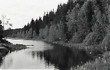 LW24122020-748_2.jpg