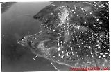 Filename=LW-T140__Kirkenes__15__sept-28__okt_1940.jpg
Filesize=370KiB
Dimensions=1200x783
Date added=Jul 03, 2009 LW-T140__Kirkenes__15__sept-28__okt_1940.jpg