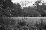 neg-1077.jpg