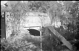 neg-972.jpg